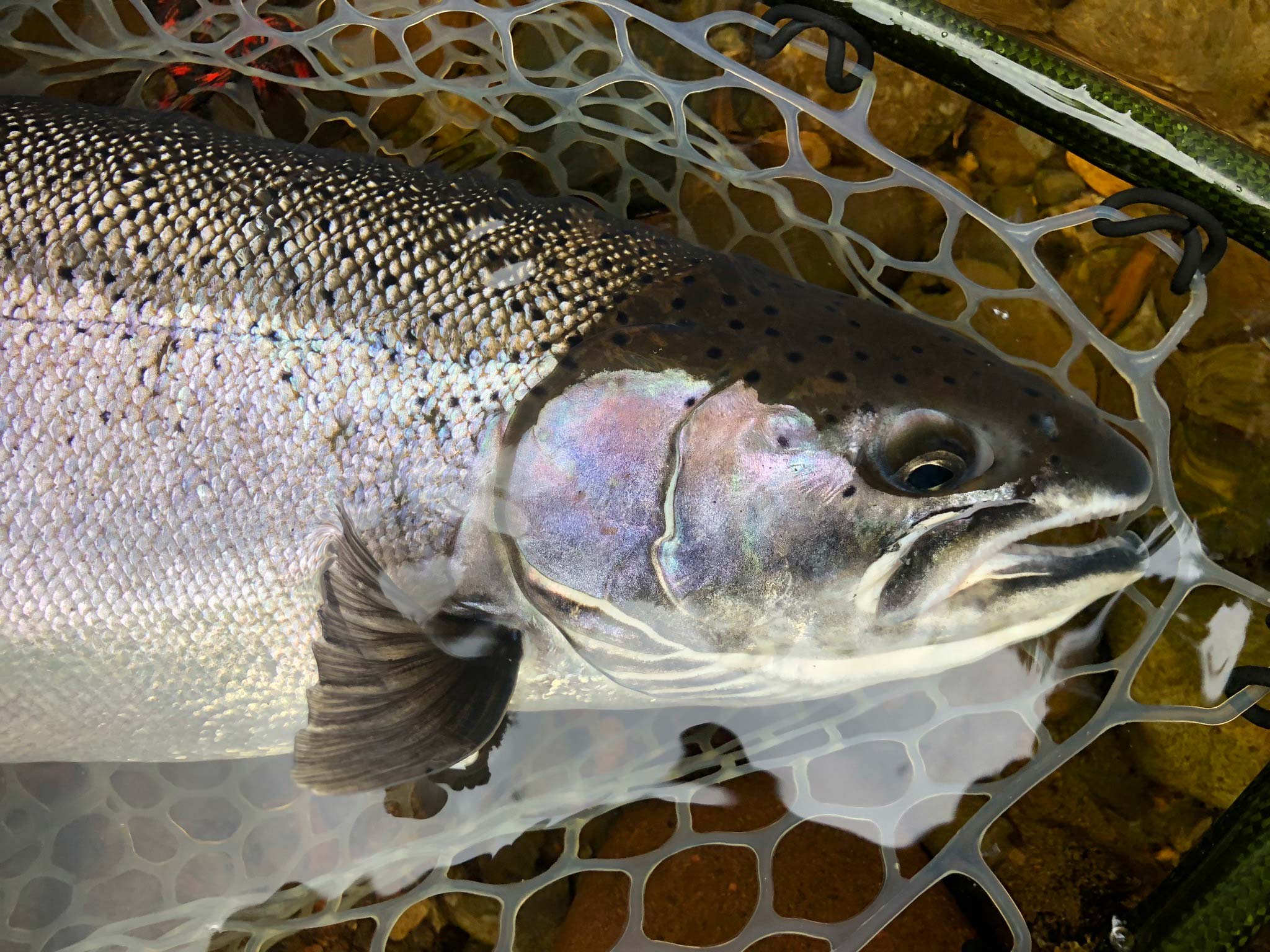 Alaska Fishing Tackle Shop